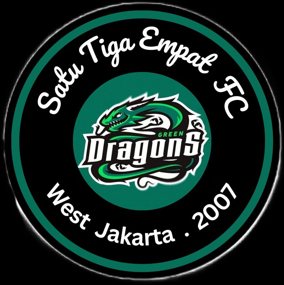 Team logo