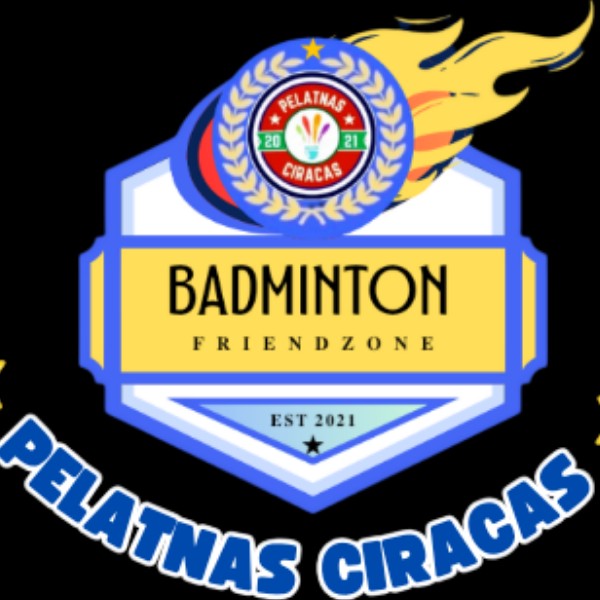 Team logo