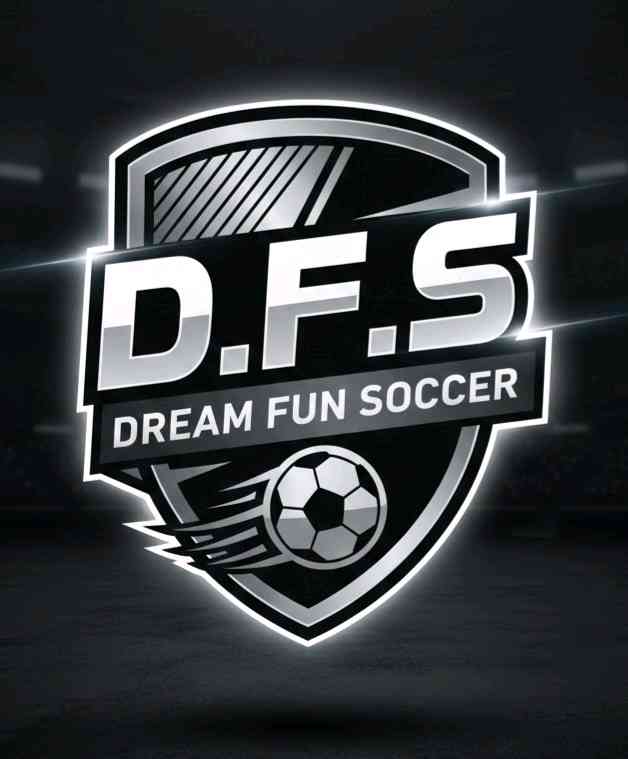 D.F.S Soccer