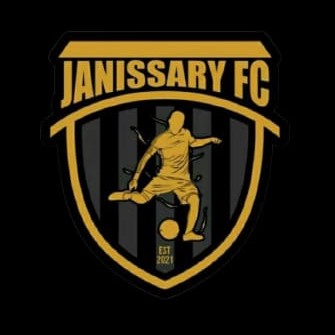 Team logo