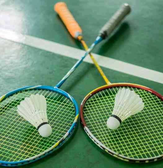 Shichibukai Badminton