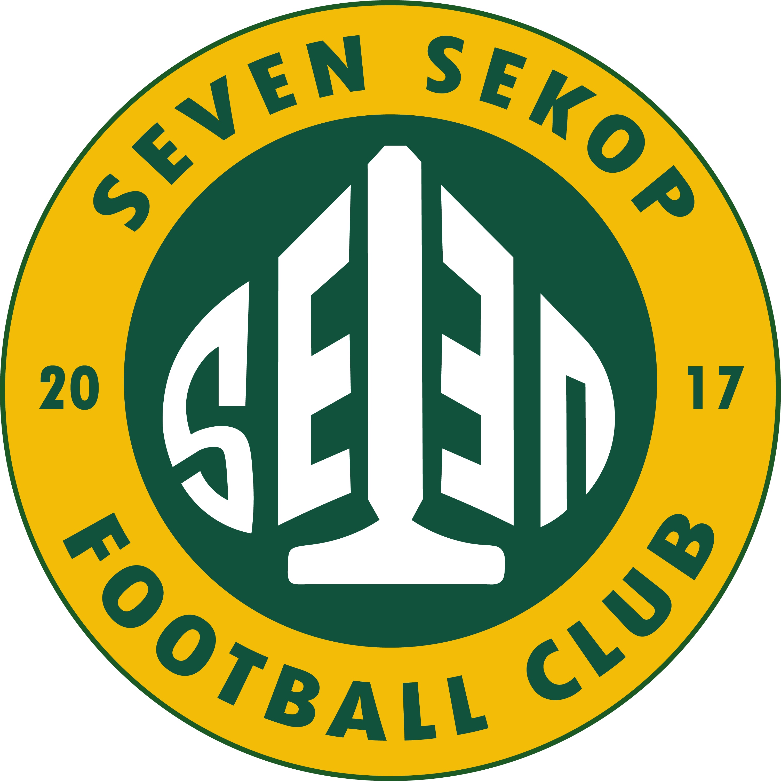 Team logo