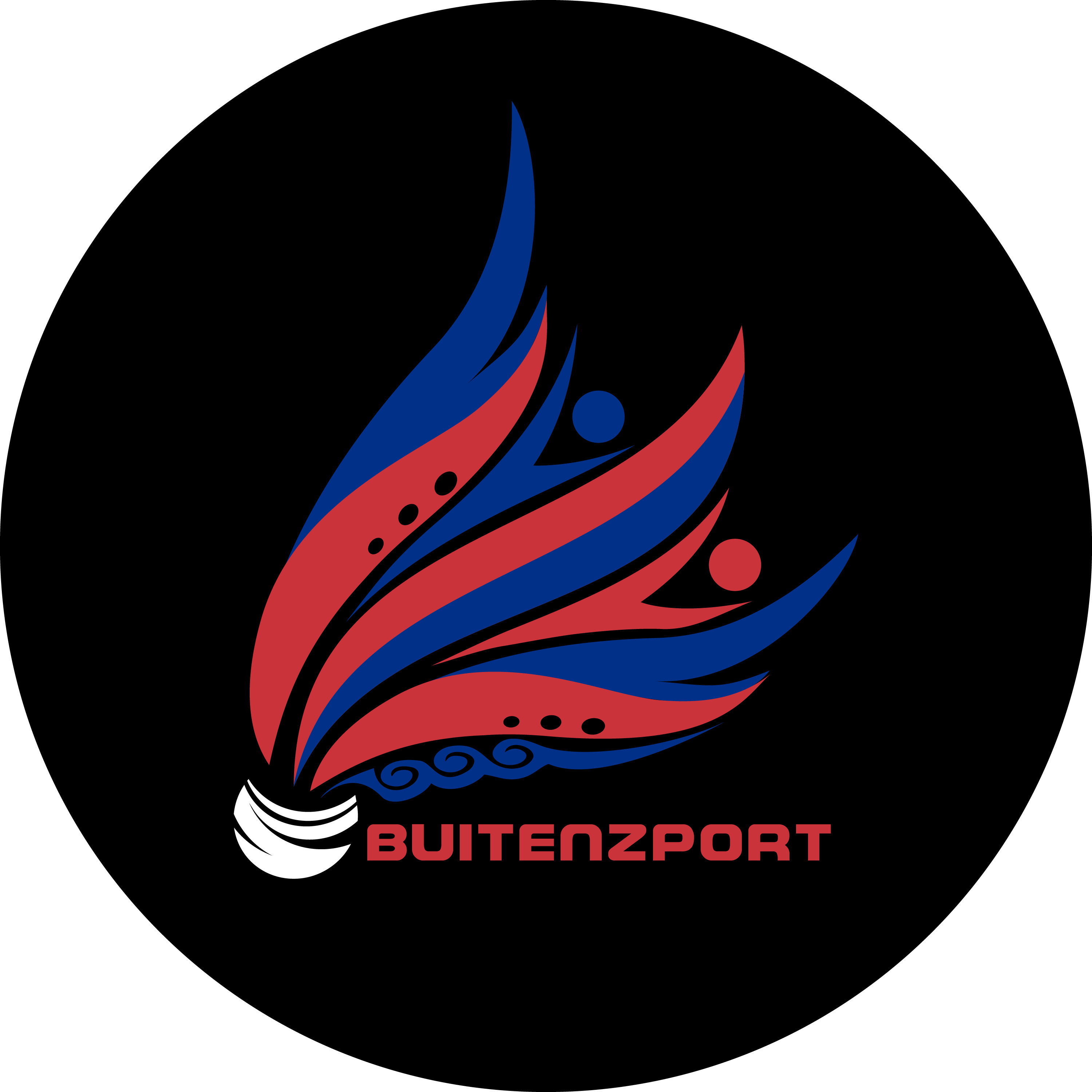 Team logo