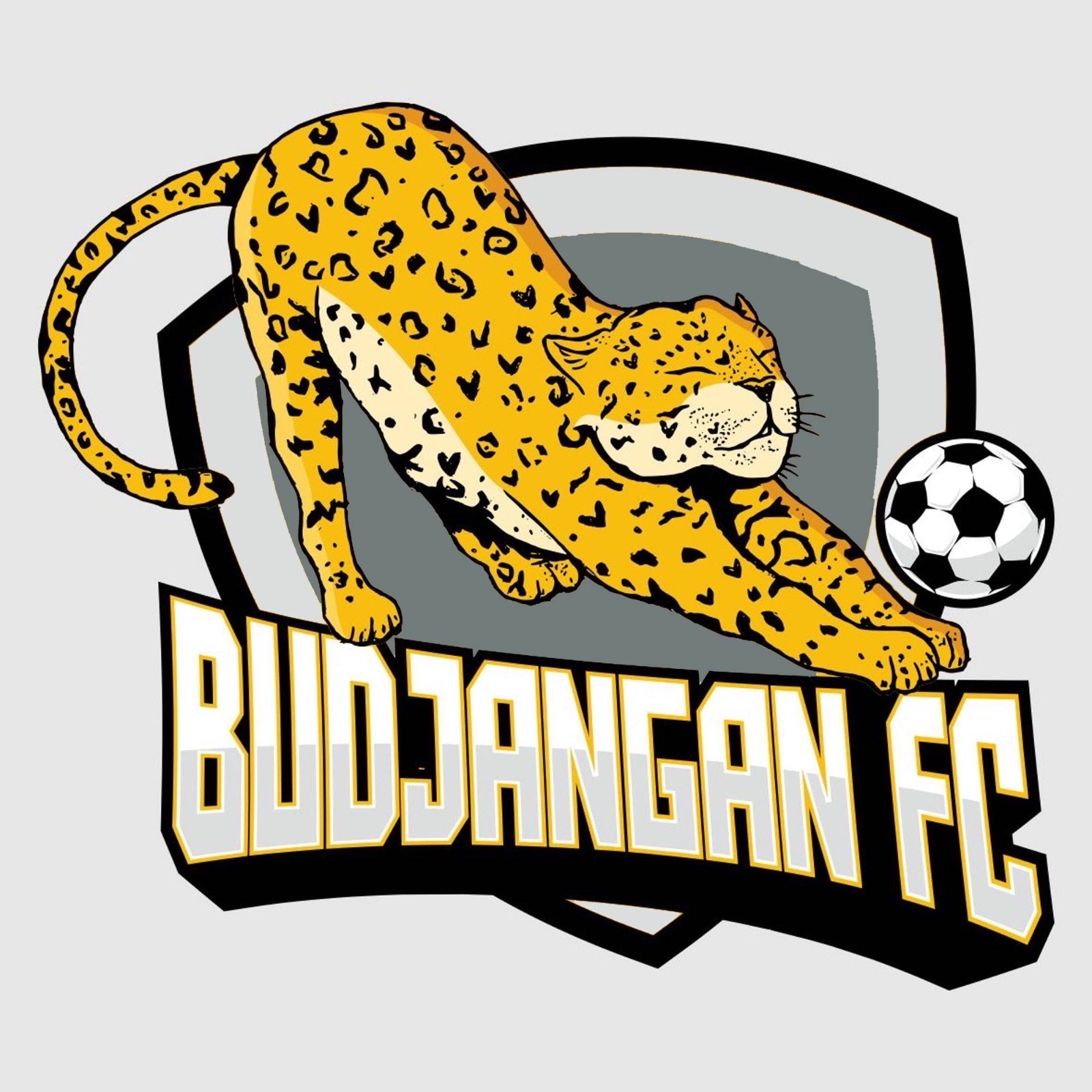 Team logo