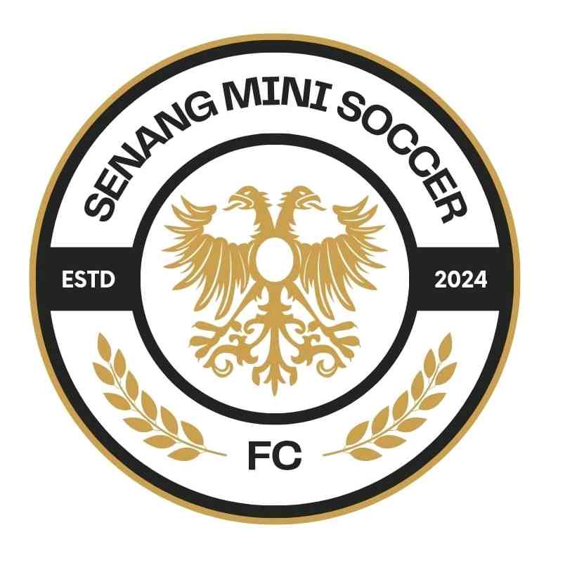 senang mini soccer