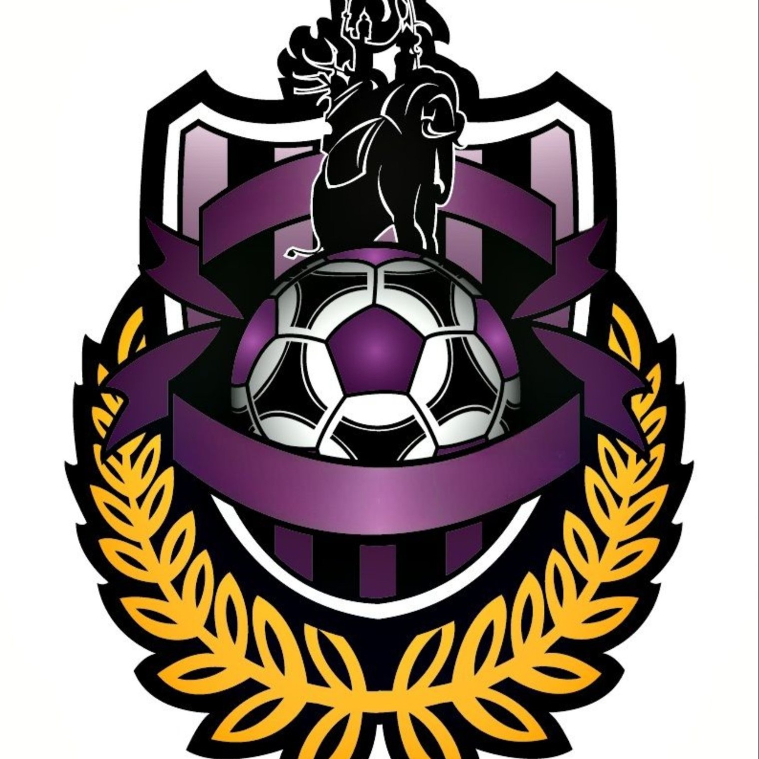 Team logo